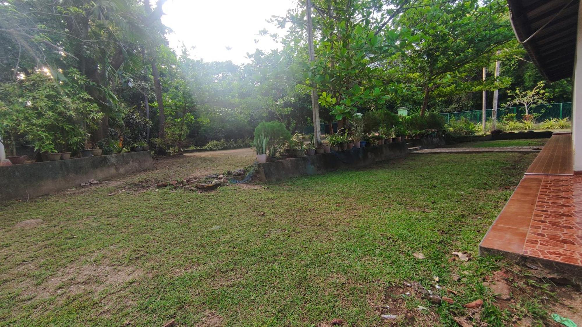 Deer Garden Guest Hotel Polonnaruwa Buitenkant foto