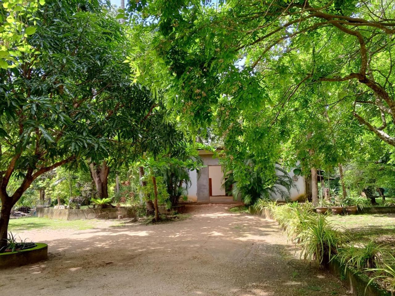 Deer Garden Guest Hotel Polonnaruwa Buitenkant foto